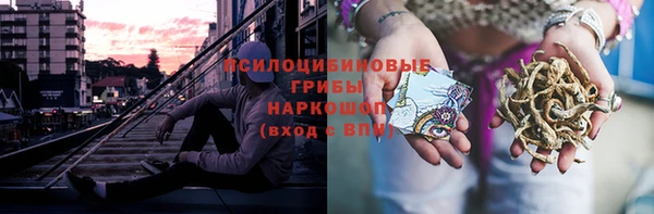 a pvp Тавда